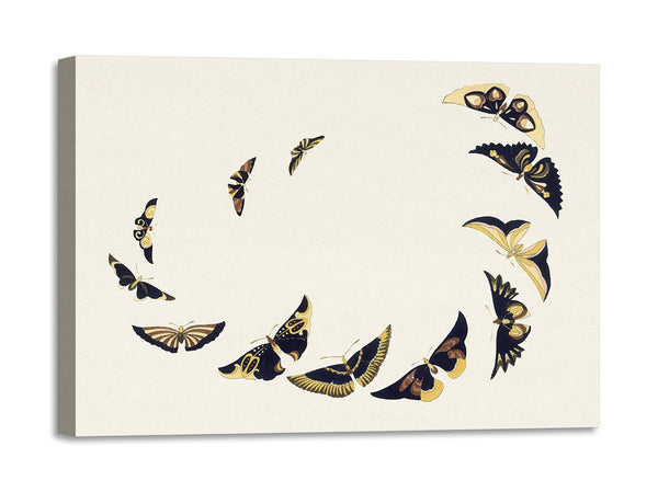 Quadro Stampa su Tela con Telaio in Legno Kamisaka Sekka - Japanese butterfly