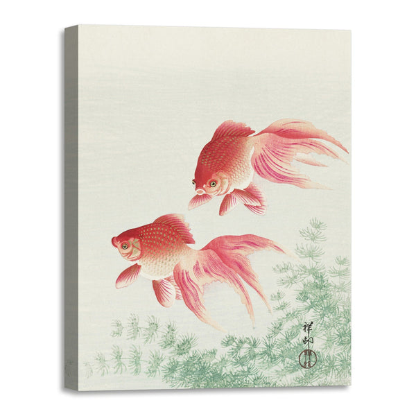 Quadro Stampa su Tela con Telaio in Legno Ohara Koson - Two veil goldfish
