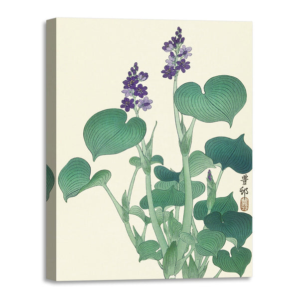 Quadro Stampa su Tela con Telaio in Legno Ogata Gekko - Blooming hosta