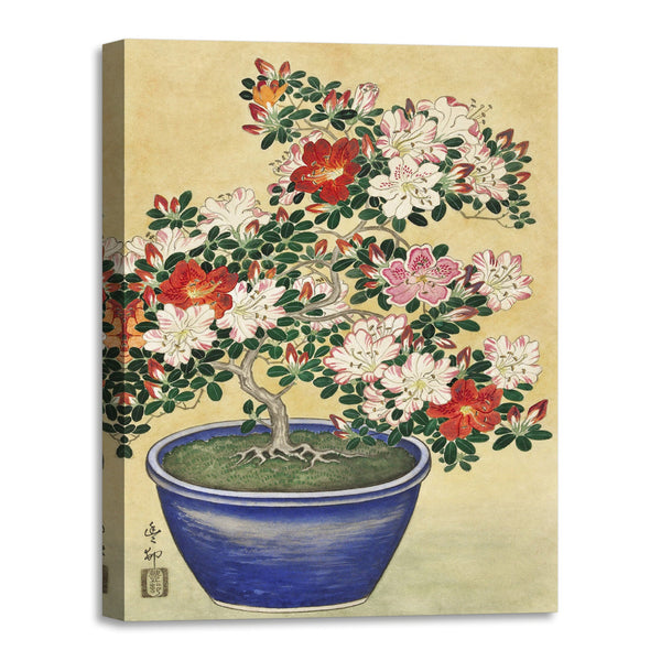Quadro Stampa su Tela con Telaio in Legno Ogata Gekko - Blooming azalea in blue pot