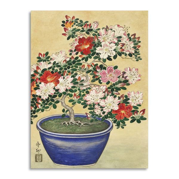 Quadro Stampa su Tela con Telaio in Legno Ogata Gekko - Blooming azalea in blue pot