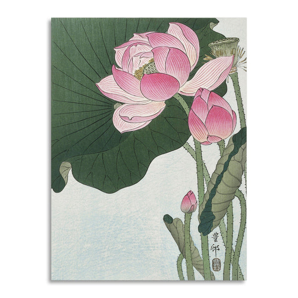 Quadro Stampa su Tela con Telaio in Legno Ogata Gekko - Blooming lotus flowers