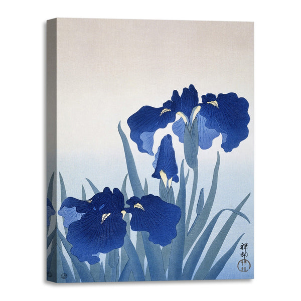 Quadro Stampa su Tela con Telaio in Legno Ogata Gekko - Iris flowers
