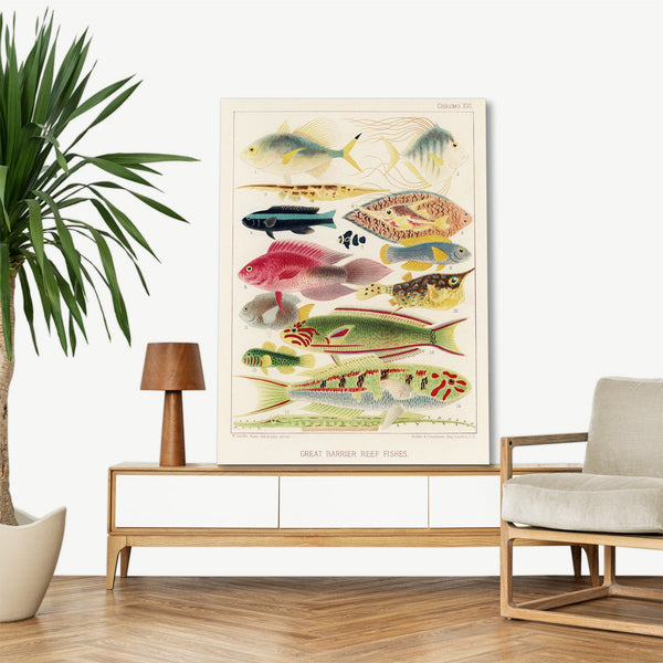 Quadro Stampa su Tela con Telaio in Legno William Saville-Kent - The Great Barrier Reef of Australia