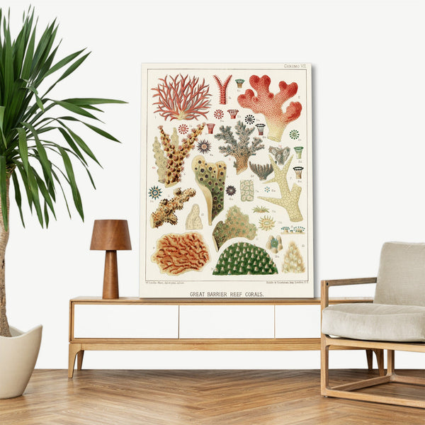 Quadro Stampa su Tela con Telaio in Legno William Saville-Kent - The Great Barrier Reef of Australia