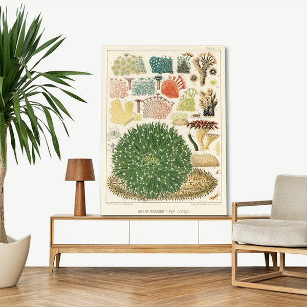 Quadro Stampa su Tela con Telaio in Legno William Saville-Kent - The Great Barrier Reef of Australia