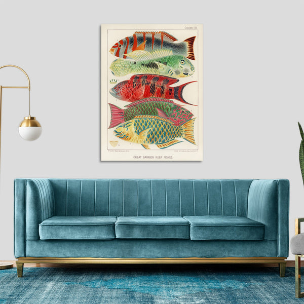 Quadro Stampa su Tela con Telaio in Legno William Saville-Kent - The Great Barrier Reef of Australia