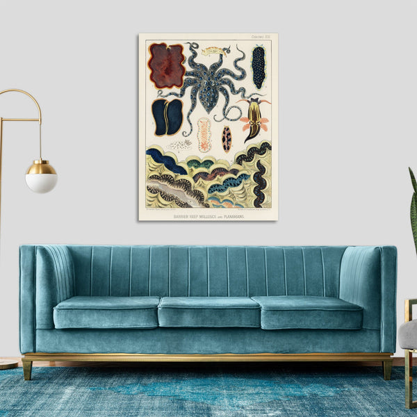 Quadro Stampa su Tela con Telaio in Legno William Saville-Kent - The Great Barrier Reef of Australia