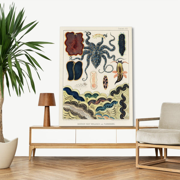 Quadro Stampa su Tela con Telaio in Legno William Saville-Kent - The Great Barrier Reef of Australia