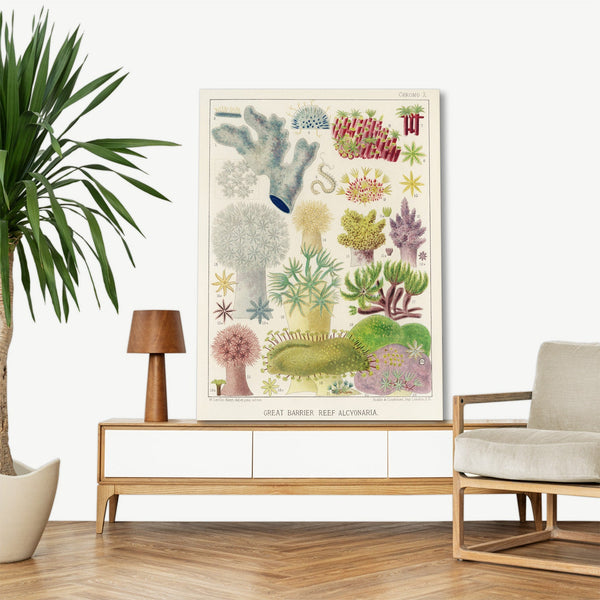 Quadro Stampa su Tela con Telaio in Legno William Saville-Kent - The Great Barrier Reef of Australia