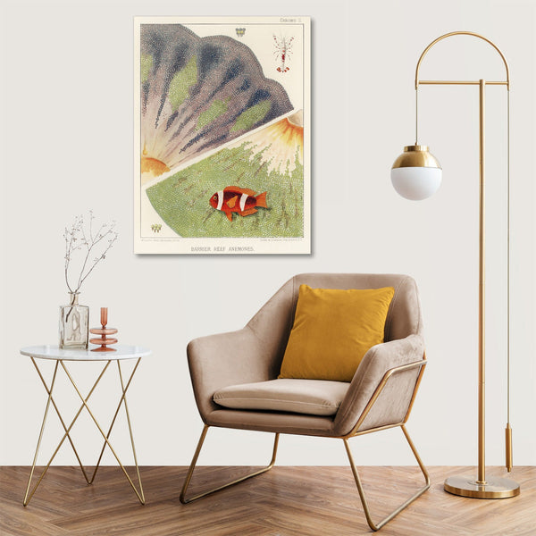 Quadro Stampa su Tela con Telaio in Legno William Saville-Kent - The Great Barrier Reef of Australia