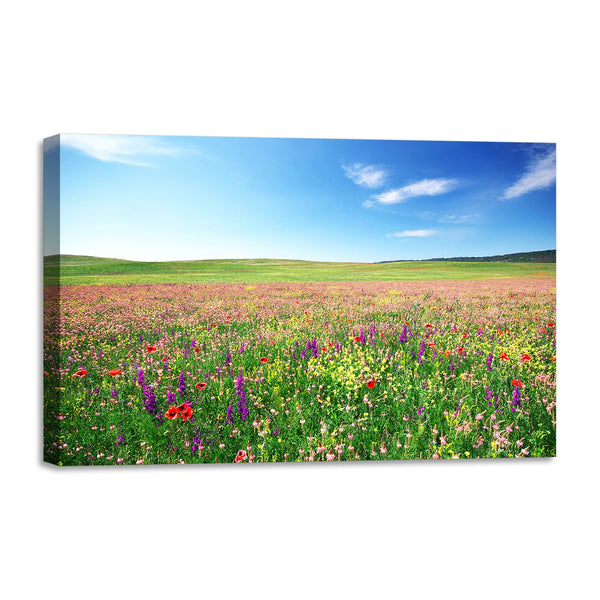 Quadro Stampa su Tela con Telaio in legno panorama campo fiorito