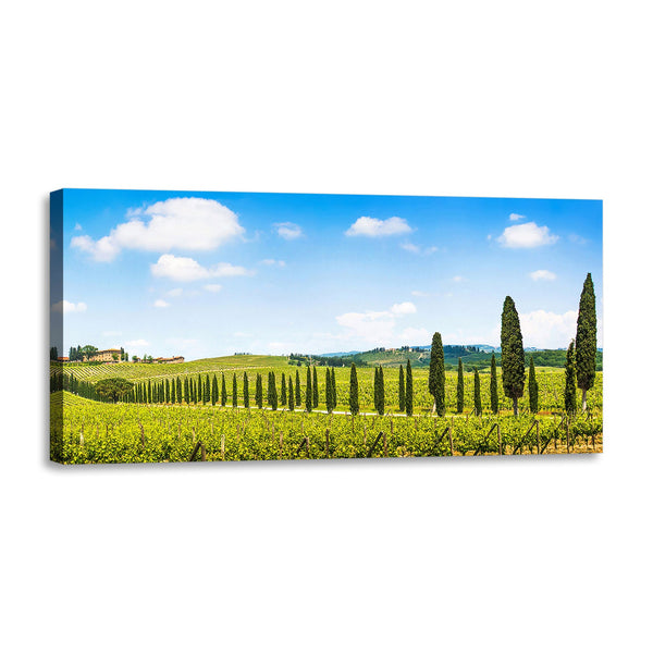 Quadro Stampa su Tela con Telaio in Legno paesaggio alberi