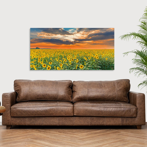 Quadro Stampa su Tela con Telaio in Legno paesaggio tramonto campo di girasoli