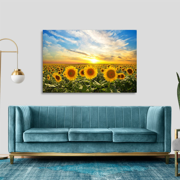 Quadro Stampa su Tela con Telaio in legno panorama campo di girasoli tramonto