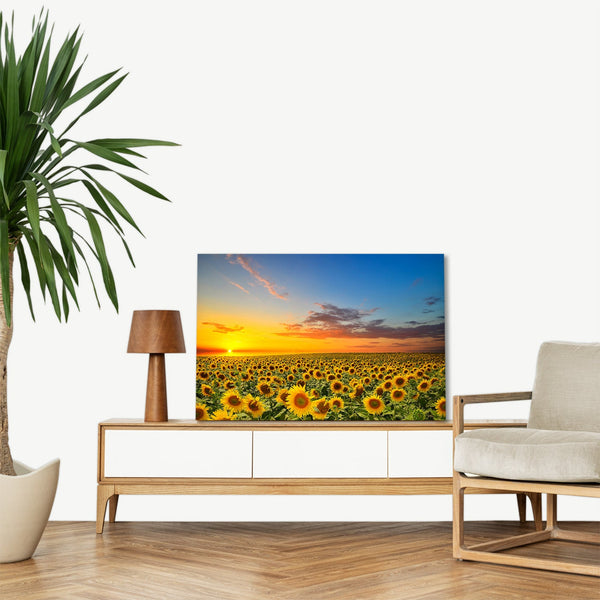 Quadro Stampa su Tela con Telaio in legno panorama campo di girasoli tramonto