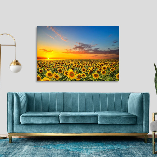 Quadro Stampa su Tela con Telaio in legno panorama campo di girasoli tramonto