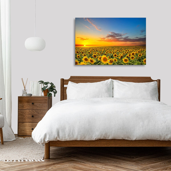 Quadro Stampa su Tela con Telaio in legno panorama campo di girasoli tramonto