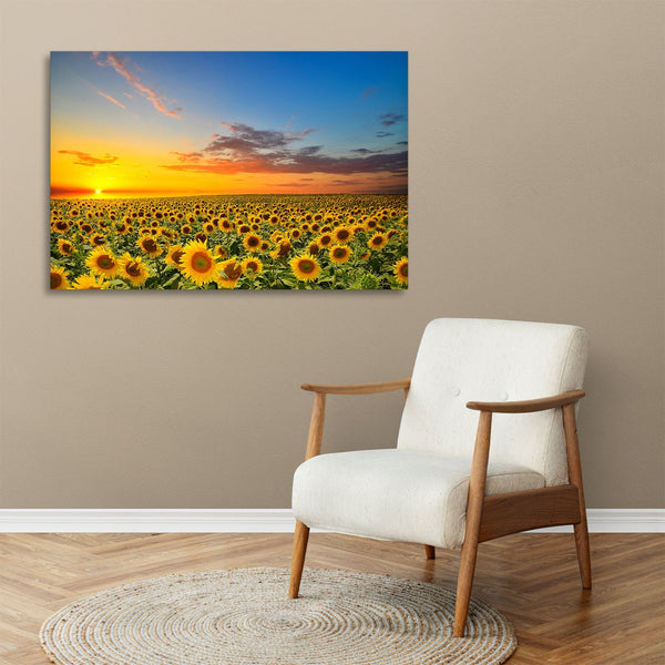 Quadro Stampa su Tela con Telaio in legno panorama campo di girasoli tramonto