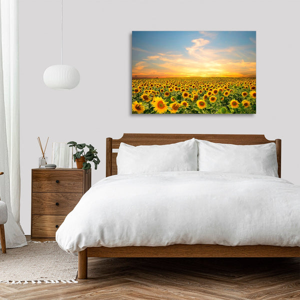 Quadro Stampa su Tela con Telaio in legno panorama campo di girasoli tramonto