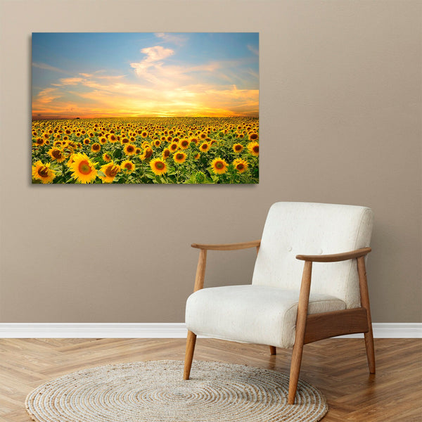 Quadro Stampa su Tela con Telaio in legno panorama campo di girasoli tramonto