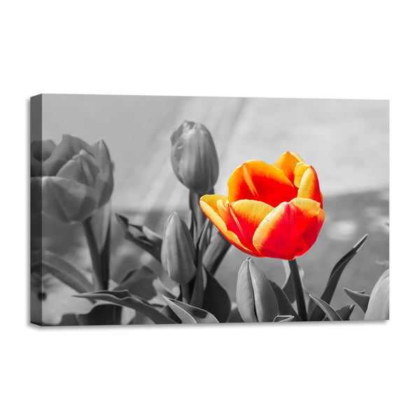 Quadro Stampa su Tela con Telaio in legno panorama fiori