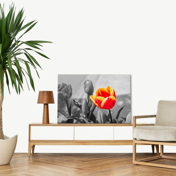 Quadro Stampa su Tela con Telaio in legno panorama fiori