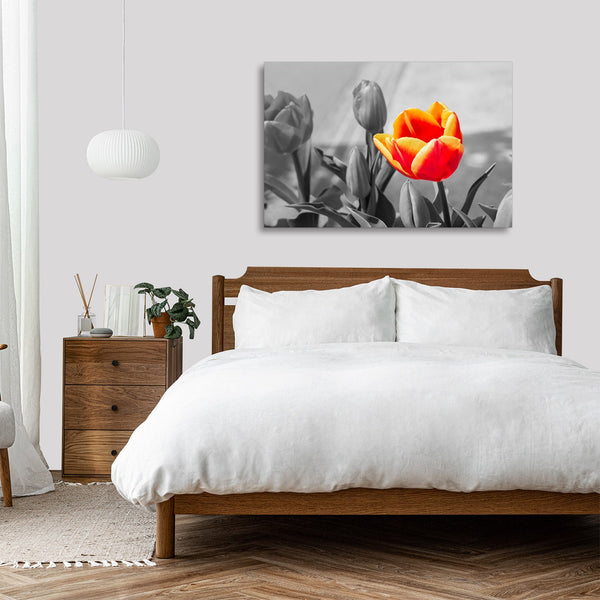 Quadro Stampa su Tela con Telaio in legno panorama fiori