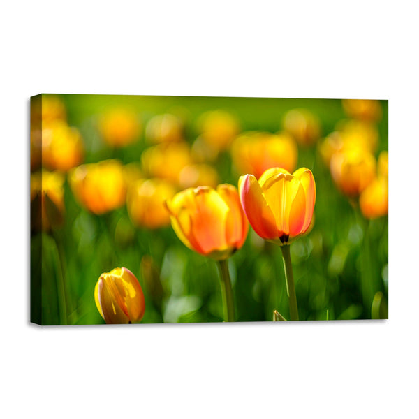 Quadro Stampa su Tela con Telaio in legno panorama fiori