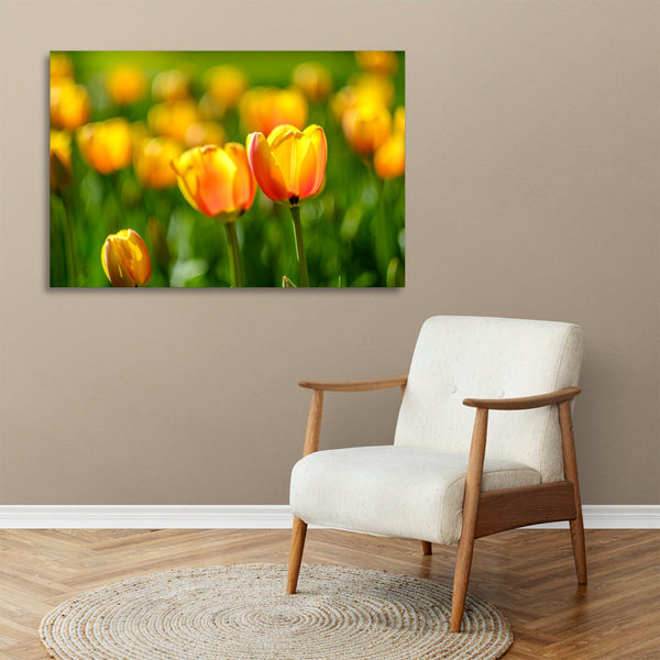 Quadro Stampa su Tela con Telaio in legno panorama fiori
