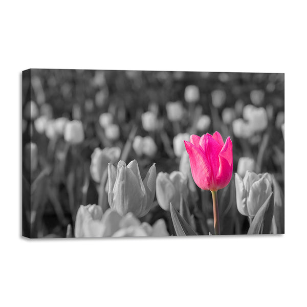 Quadro Stampa su Tela con Telaio in legno panorama fiori