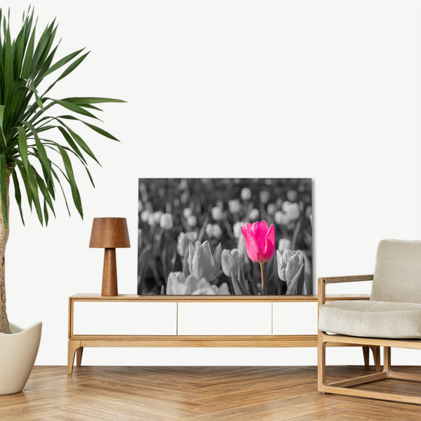 Quadro Stampa su Tela con Telaio in legno panorama fiori
