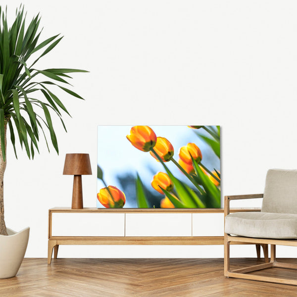 Quadro Stampa su Tela con Telaio in legno panorama fiori