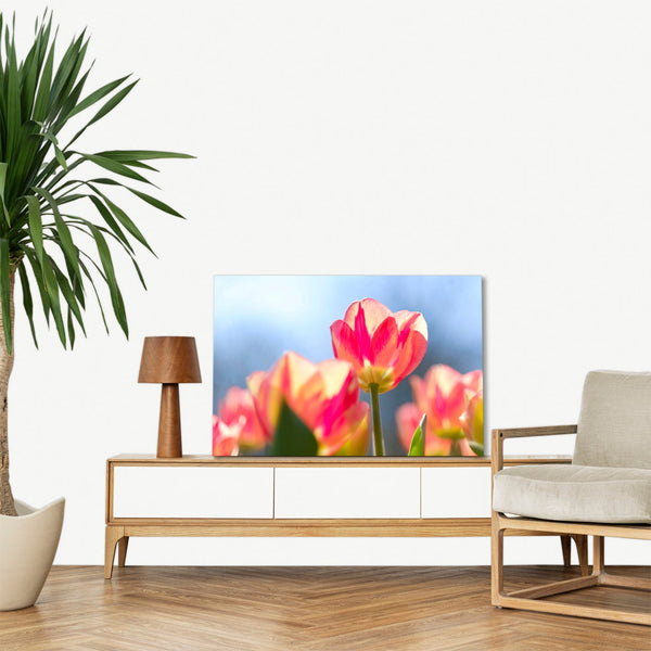 Quadro Stampa su Tela con Telaio in legno panorama fiori