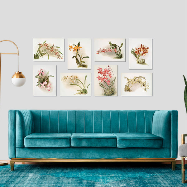 Quadri Stampa su Tela con Telaio in Legno 8 pezzi 40x30 cm Floreali Fiori
