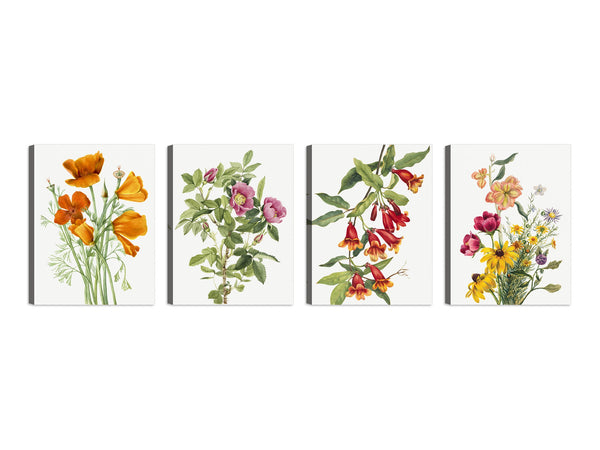 Quadri Stampa su Tela con Telaio in Legno 4 pezzi Floreali Fiori