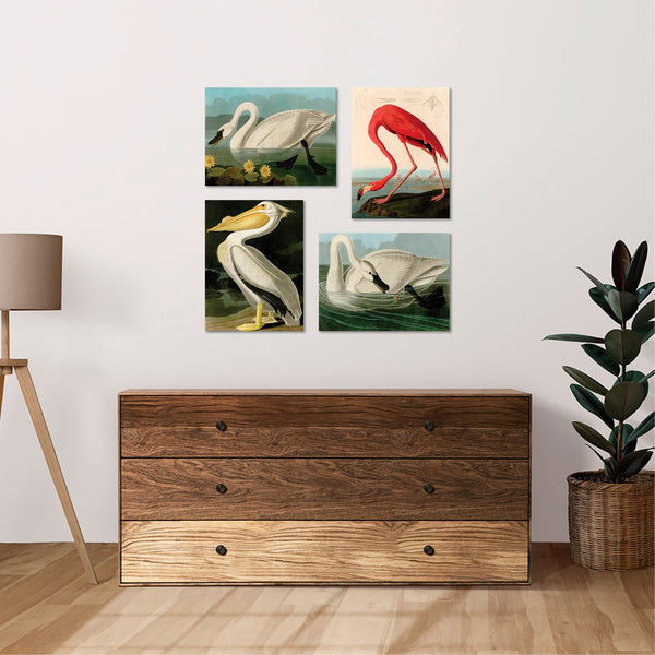 Quadri Stampa su Tela con Telaio in Legno 4 pezzi John James Audubon