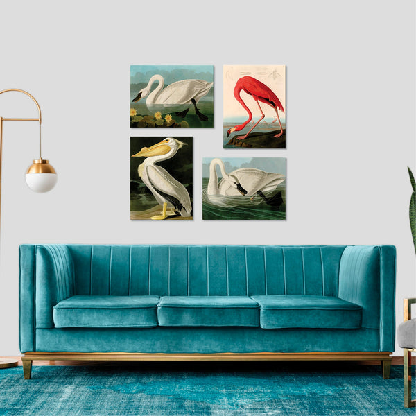 Quadri Stampa su Tela con Telaio in Legno 4 pezzi John James Audubon