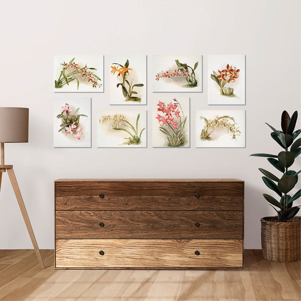 Quadri Stampa su Tela con Telaio in Legno 8 pezzi 40x30 cm Floreali Fiori