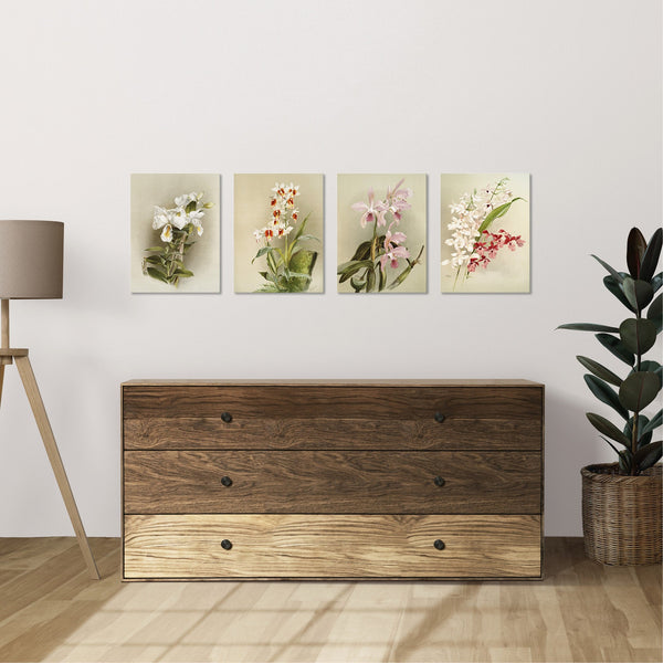 Quadri Stampa su Tela con Telaio in Legno 4 pezzi Floreali Fiori