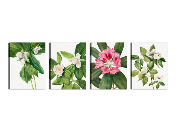 Quadri Stampa su Tela con Telaio in Legno 4 pezzi Floreali Fiori
