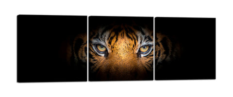Quadri Stampa su Tela con Telaio in Legno 3 pezzi Sguardo di una tigre su sfondo nero