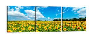 Quadri Stampa su Tela con Telaio in Legno 3 pezzi Campo di girasoli