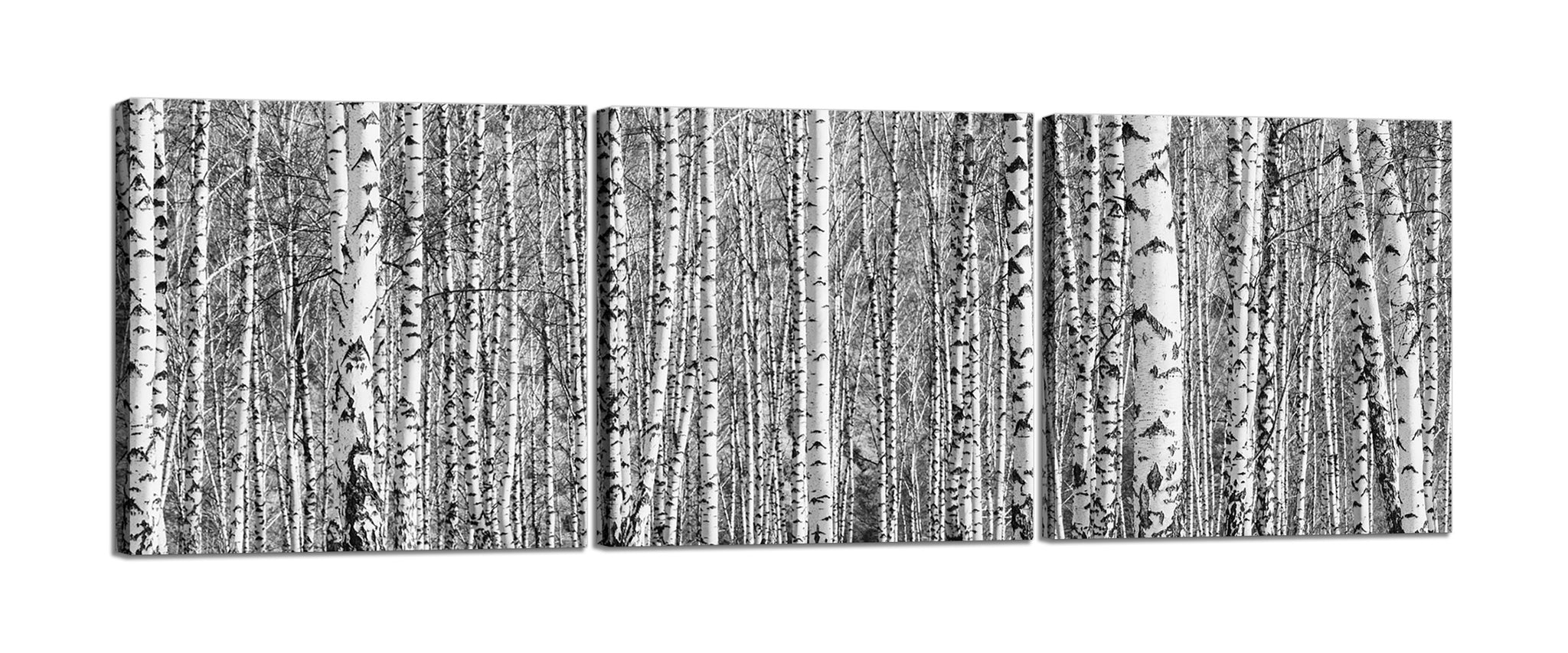 Quadri Stampa su Tela con Telaio in Legno 3 pezzi Bosco di betulle