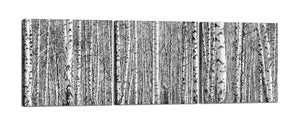 Quadri Stampa su Tela con Telaio in Legno 3 pezzi Bosco di betulle