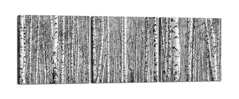 Quadri Stampa su Tela con Telaio in Legno 3 pezzi Bosco di betulle