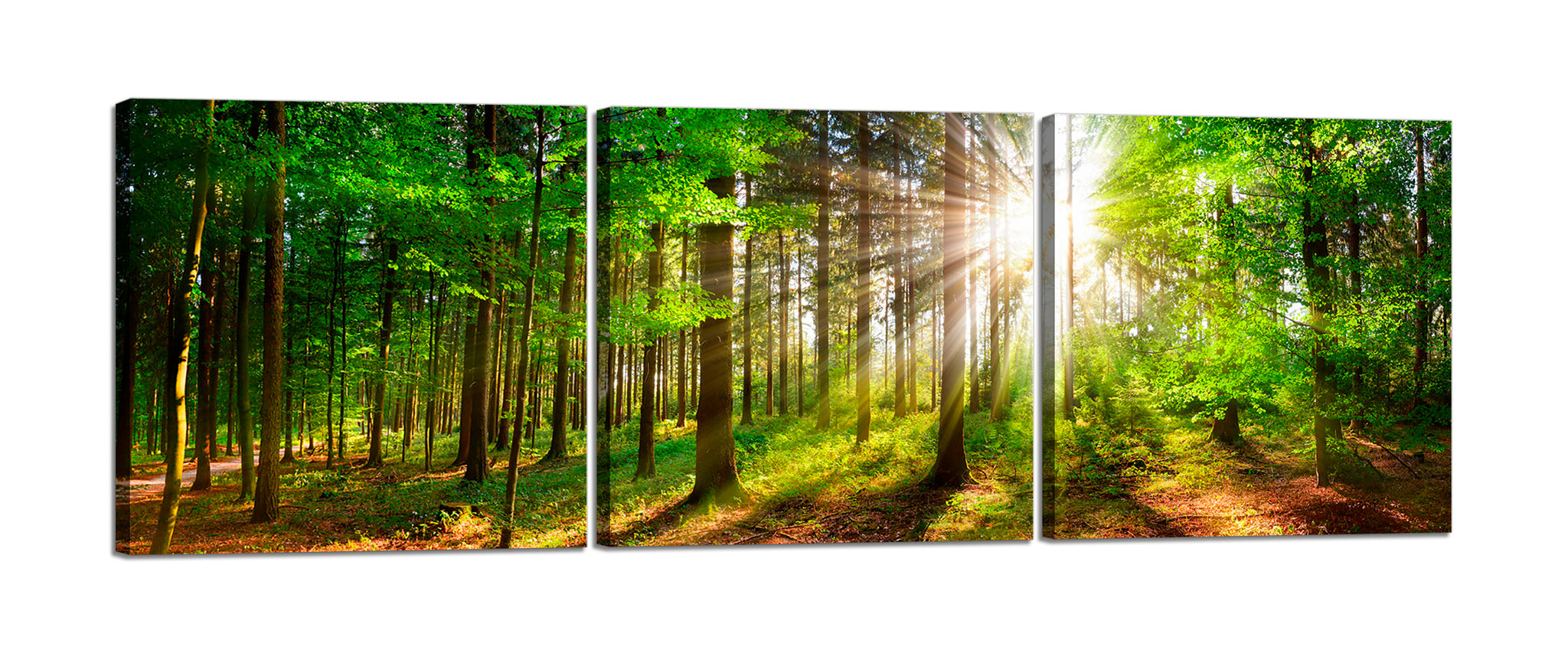 Quadri Stampa su Tela con Telaio in Legno 3 pezzi Panorama Bosco di alberi