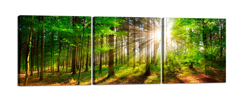 Quadri Stampa su Tela con Telaio in Legno 3 pezzi Panorama Bosco di alberi