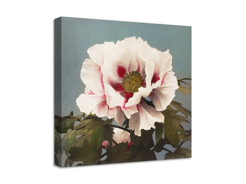 Quadro Stampa su Tela con Telaio in Legno Kazumasa Ogawa - Tree Peony