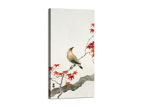 Quadro Stampa su Tela con Telaio in Legno Ohara Koson - Japanese plague bird on maple